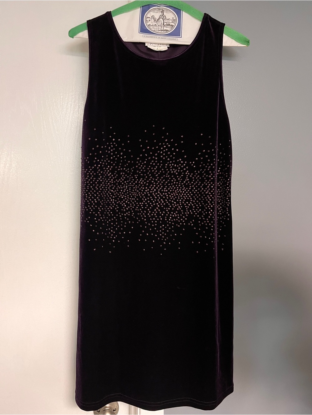 Velvet Sleeveless Shift Dress with Embellished Front - Purple